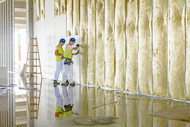 Types of Insulation We Offer in Coarsegold, CA